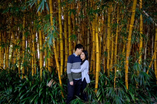 Angela & Danny Prewed